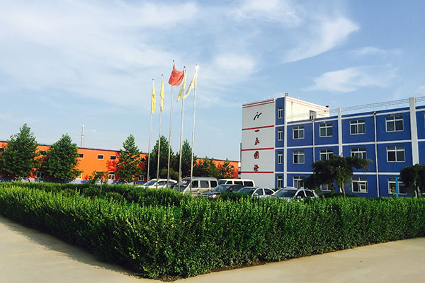 Shandong E.Fine Pharmacy Co., Ltd. ble etablert i 2010
