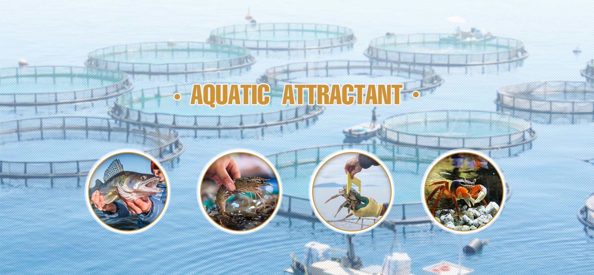 AQUATIC  ATTRACTANT