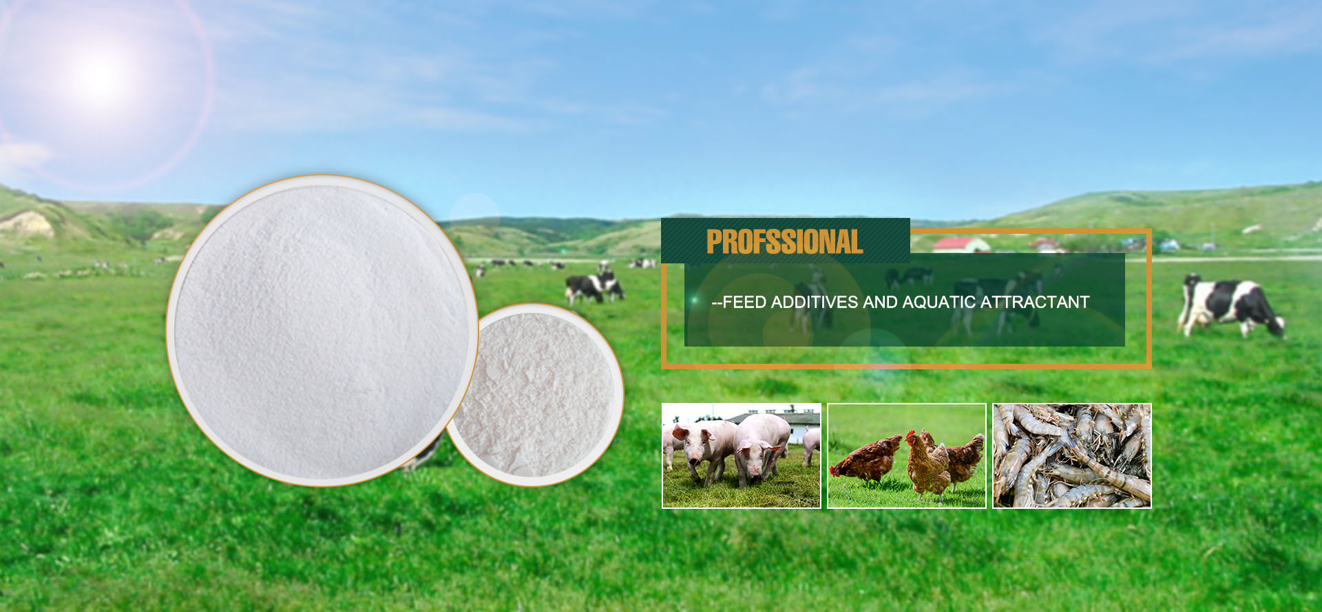 FEED ADDITIVES AND AQUATIC ATTRACTANT