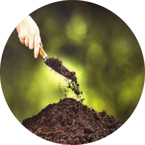 Biological fertilizer Additives Oxidizing Agent TMAO98% CAS NO:62637-93-8