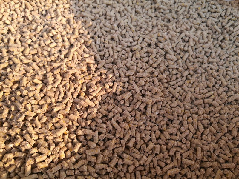 Fungusproof method for feed–Calcium propionate