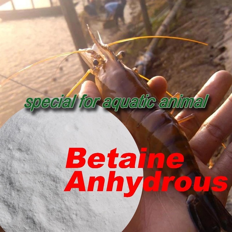 एक्वाटिक को लागी Betaine