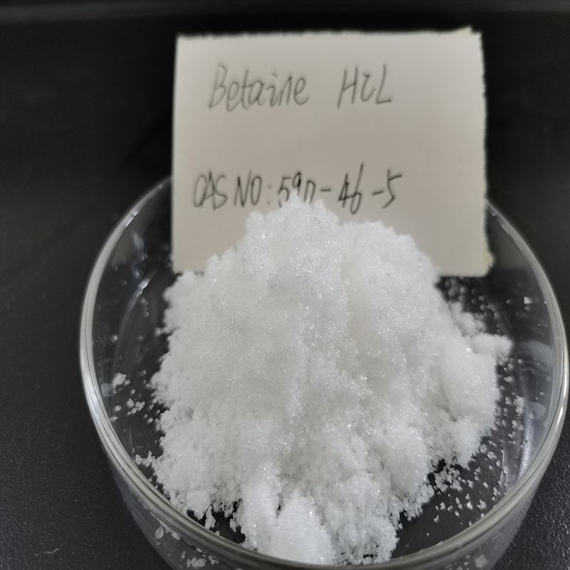 Free sample for Chemical Firm -  Betaine Hcl 95% Hydrochloride with 800kg bag – E.Fine