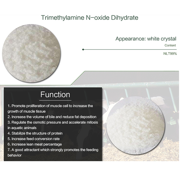 Trimethylamine-N-oxide dihydrate (TMAO ) Featured Image