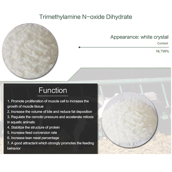 Top Quality Buy Livestock Feed -
  Trimethylamine-N-oxide dihydrate (TMAO )  – E.Fine