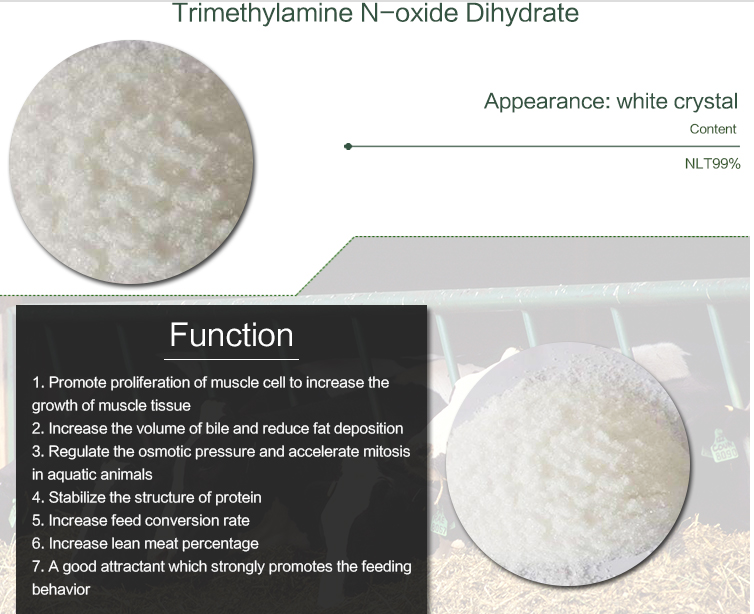 China wholesale Pharmaceutical Intermediate - Purity Feed Additive TMAO CAS No:62637-93-8 trimethylamine-N-oxide dihydrate  – E.Fine
