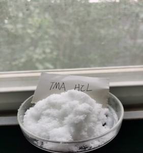 Cationic Etherification L-Carnitin Deunydd Rhif CAS: 593-81-7 Trimethylamonium Clorid