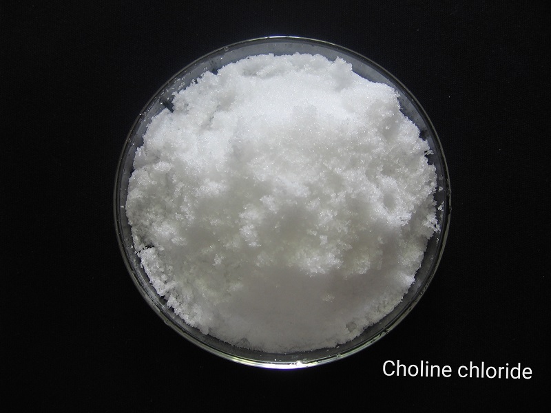 Good Quality Garlic Powder Allicin Powder -
 Choline chloride – E.Fine