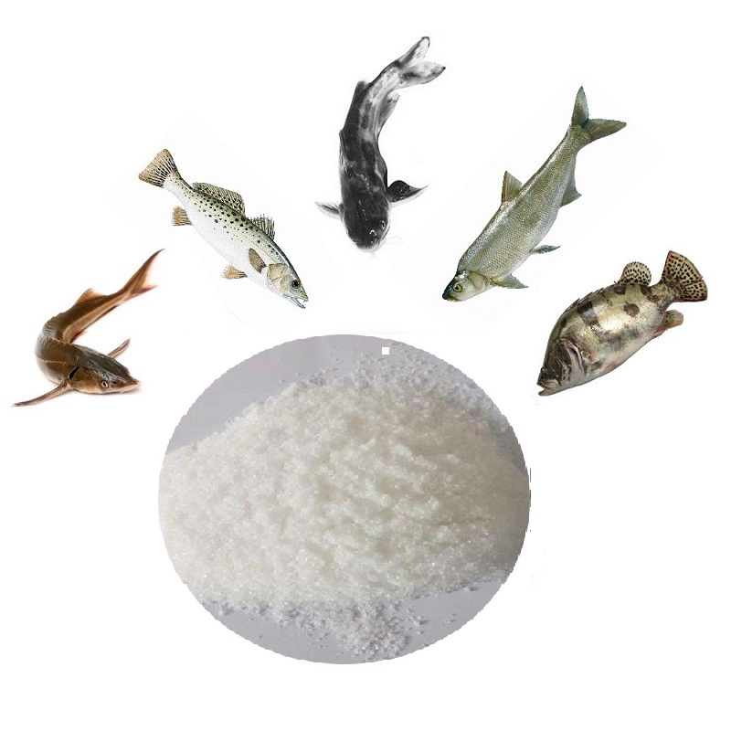 Hot sale Factory Alternative Antibiotics - Shrimp Fish Bait TMAO DMPT Aquait feed Additive  – E.Fine