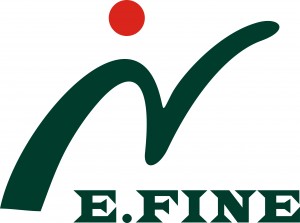 E.FIN