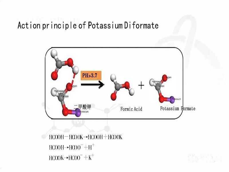 Potassium diformate1