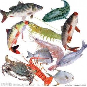 Aditiv për ushqimin e peshkut TMAO Aquait
