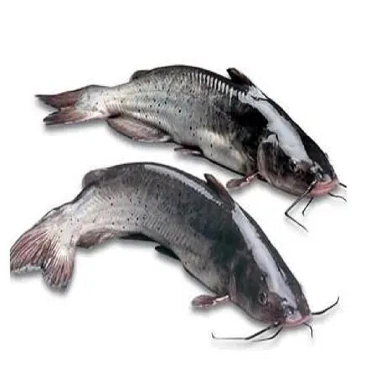 The role of betaine in aquatic products