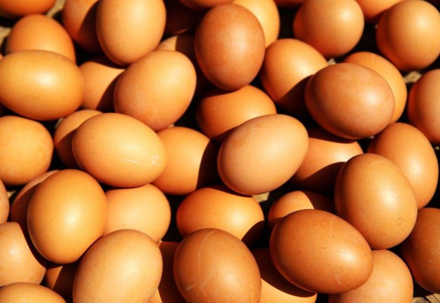 کوالیفائیڈ انڈے دینے والی مرغیوں کے لیے کیلشیم کی تکمیل کیسے کی جائے؟