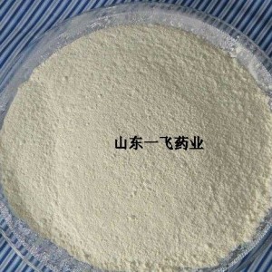 OEM China Types Of Feed Additives - Online Exporter China Synthetic Allicin (Garlic Powder & Garlicin) for Animal Feed Additives – E.Fine