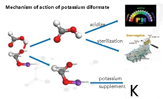 potassium diformate